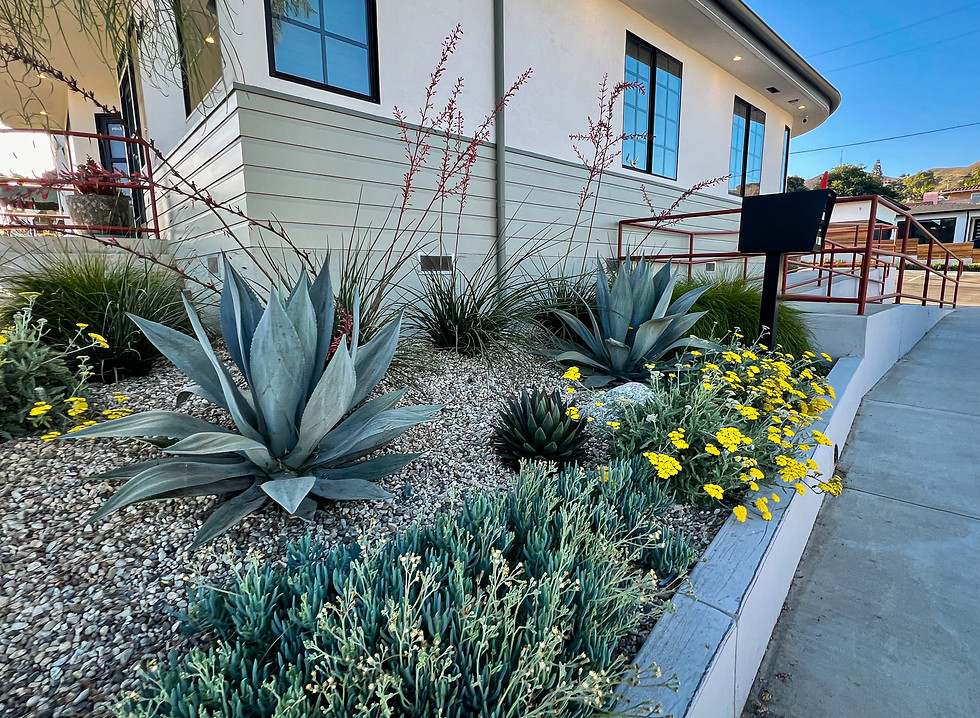 Edited Photo V2-5.jpg