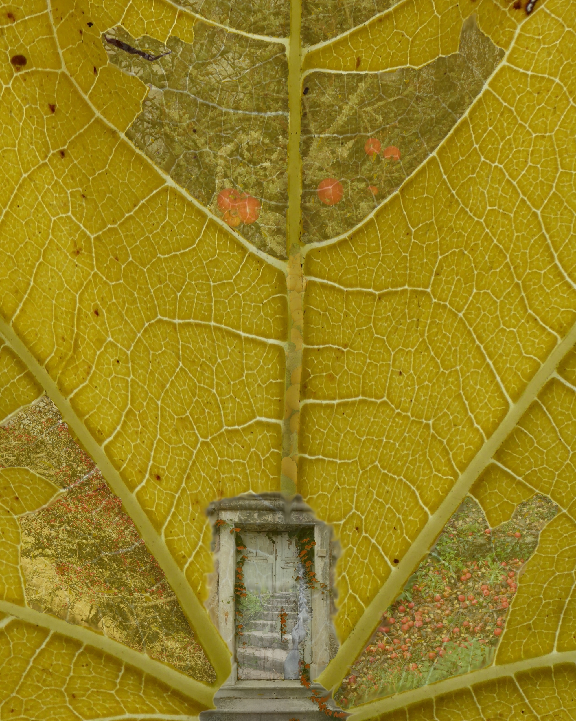 Harvest and Atrophy 40x50cm