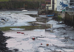 Salcombe, the back of Island St