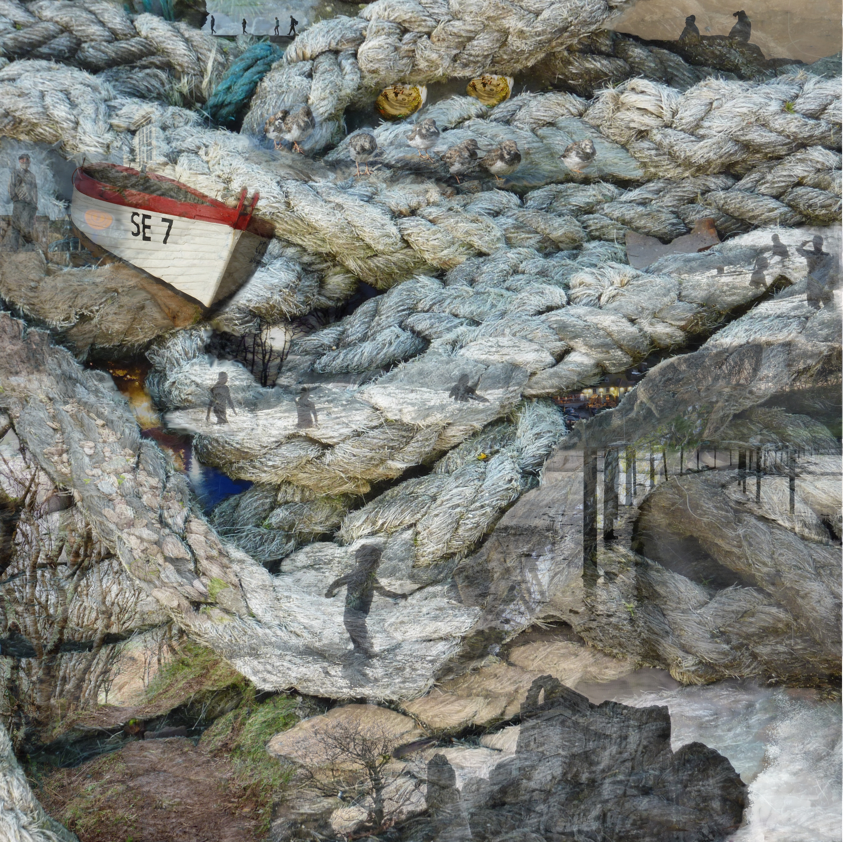Turnstones 40x40cm