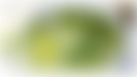 Receta de Crema de Espinaca