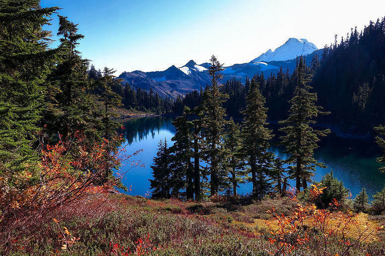 landscape-tree-nature-forest-wilderness-walking-mountain-trail-meadow-countryside-leaf-fal