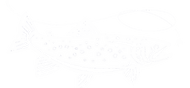 Dry Fly Clan pesca mosca genova