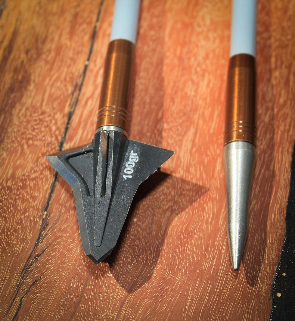 Pilot Cut Broadhead Kayuga Broadheads Australian Broadheads