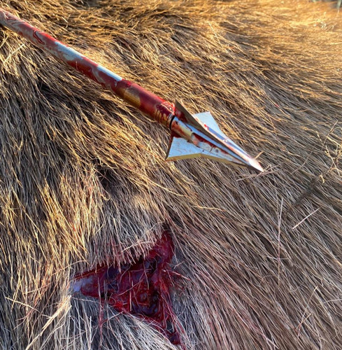 Kayuga Broadheads 150 Grain TriZot