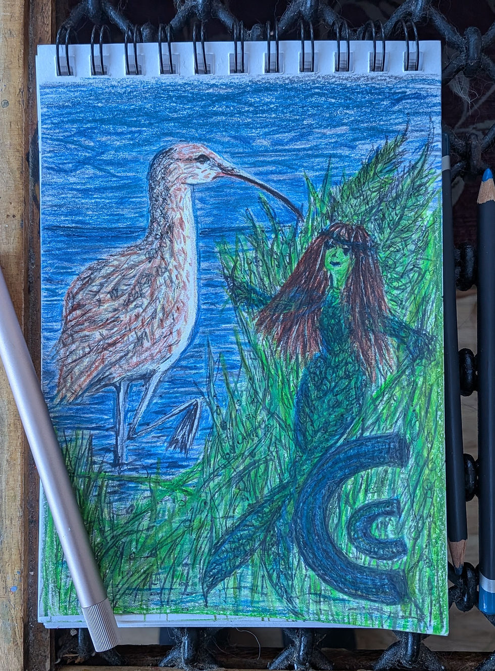 Cerys is one of the flying mermaids who lives amongst the reeds in mudflats and tidal estuaries, shes helping her curlew friends find breeding grounds