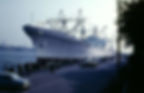 The Savannah alongside in Copenhagen, August 1964, with hundreds of sightseers in line to visit, Snesejler, Mogens Eriksen
