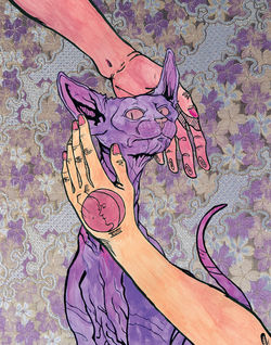 Joshua-Miller-Ms Moon Cat