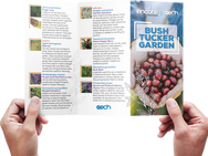 Brochure Design