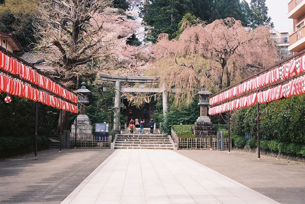 FUJIFILM業務用100