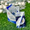 Miniatura: Blanqueador Dental Dazzling White   Ref: Do 117