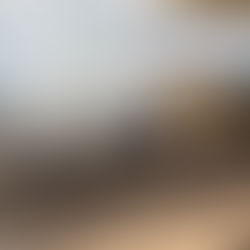 감리교, 탈북 난민·국내 탈북 동포 지원 사역 확대…"선도적 통일 준비"