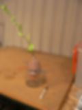 Soft Sculpture Avocado Pit Sprout