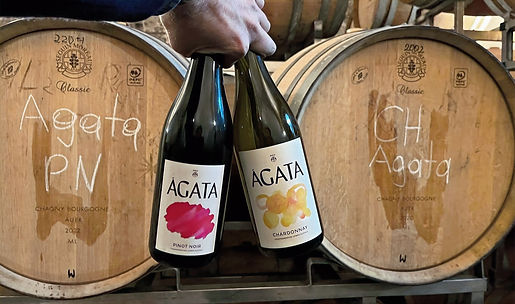 Botellas de vinos Ágata de MOG Selections frente a barricas