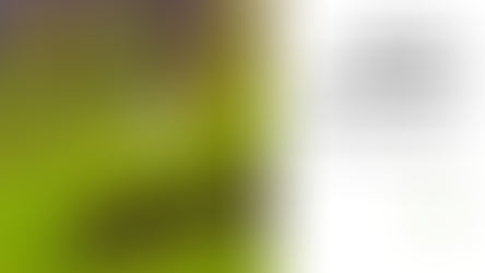 Employee Experience als Kulturträger