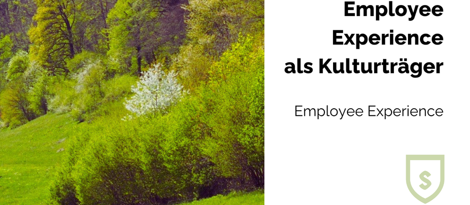 Employee Experience als Kulturträger