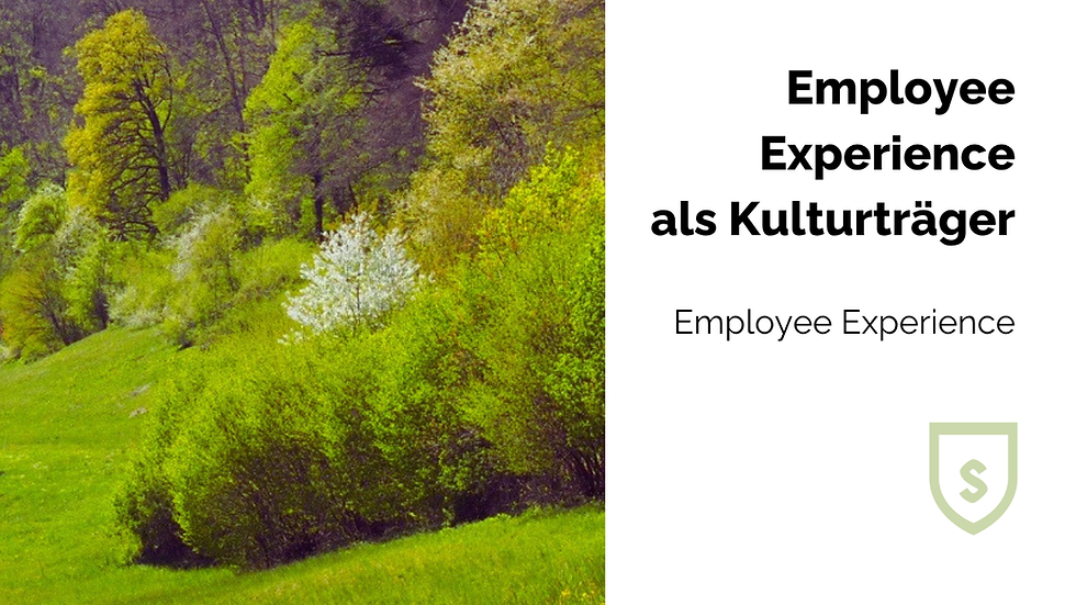 Employee Experience als Kulturträger
