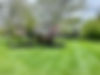 IMG_2818.jpeg