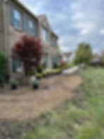 IMG_1906.jpeg