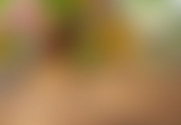 Herbs, Aromatherapy, Teas