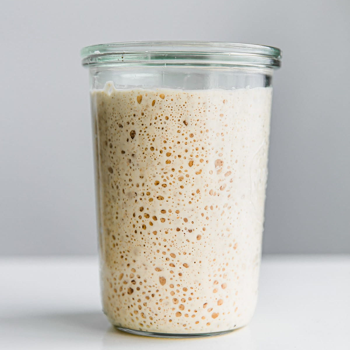 Gluten-Free Sourdough Bread Starter