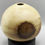 Thumbnail: Medium size Beech Hollow Form