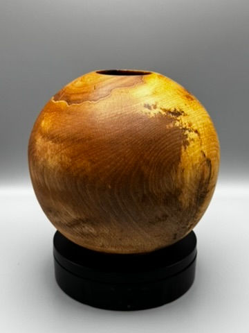 Thumbnail: Medium Beech Hollow Form 170x160mm