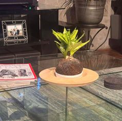 Ash platter on coffee table
