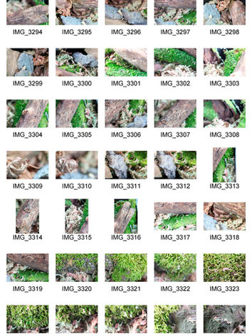 Cont sheet 5.1_Page_1.jpg