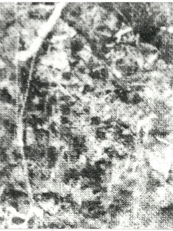 scan_tangcc21_2023-01-06-10-44-20_Page_4.jpg