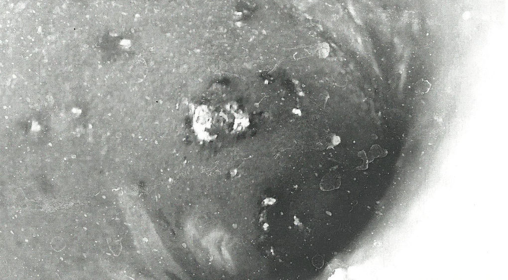 scan_tangcc21_2023-04-17-13-05-47-11.jpg