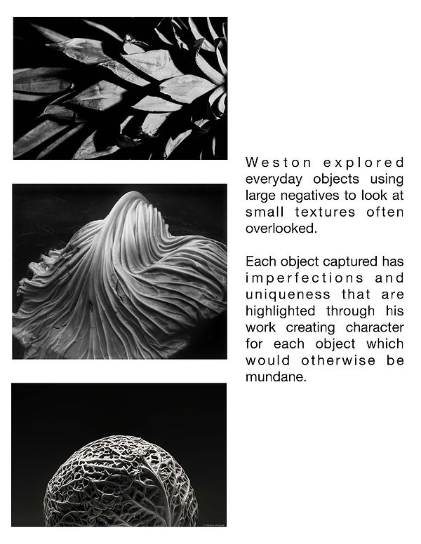 Edward Weston-1_Page_1.jpg