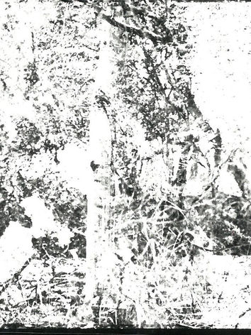 scan_tangcc21_2023-01-06-10-44-20_Page_8.jpg