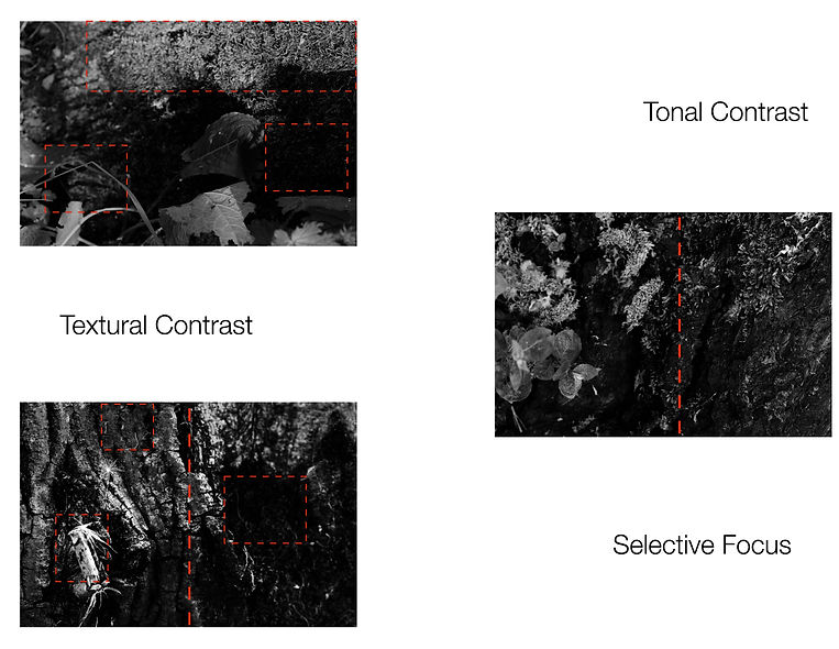 Stage 4 Anno-3_Page_1.jpg