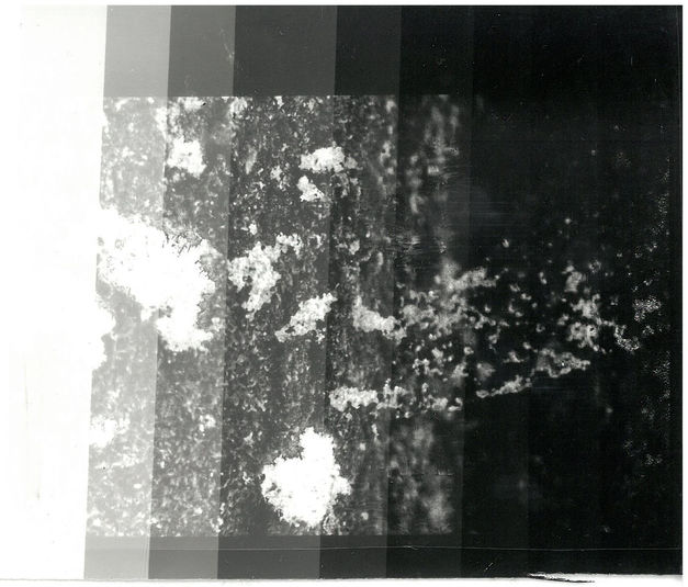scan_tangcc21_2023-01-06-10-47-03_Page_08.jpg