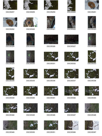 Lightroom (DSC05257.JPG and 101 others)_Page_1.jpg