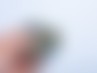 Charitable donations can help reunite this family!