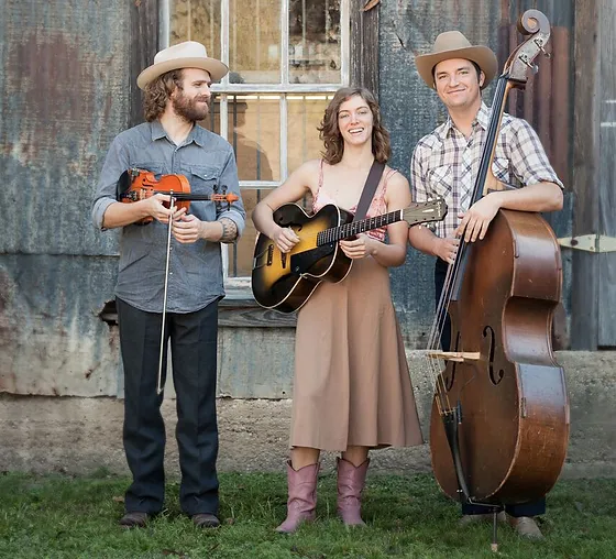 Bio Western Swing Music Austin Big Cedar Fever