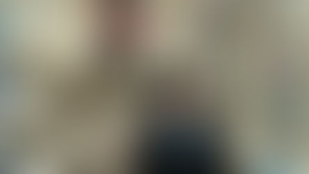 佛教沈香林紀念中學圖書館網站(非官方版)