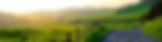 AdobeStock_556547114.jpeg