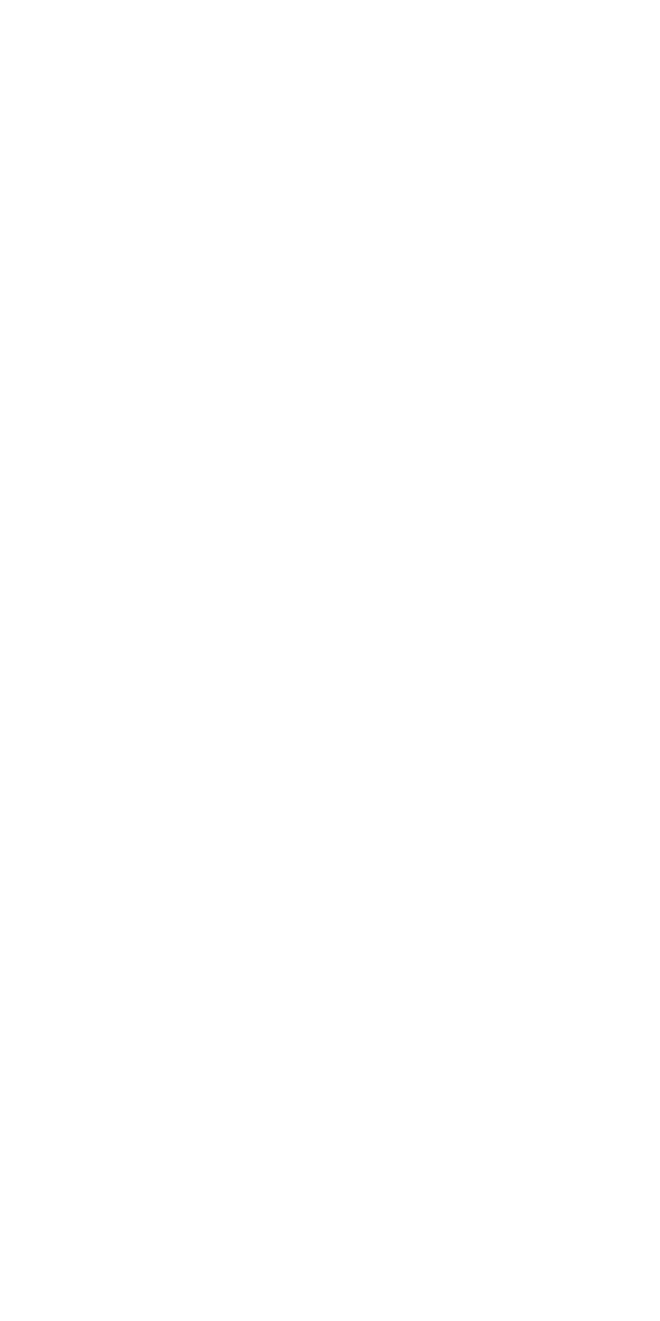 print_huawei_pura70_pro_front.png