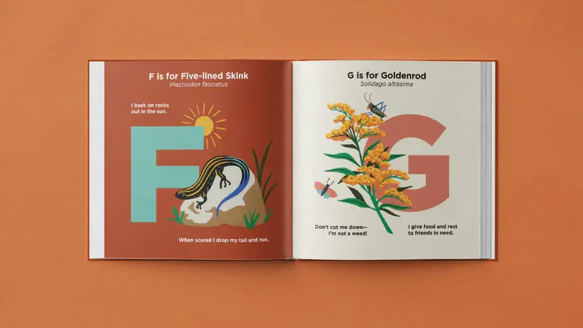 Thumbnail: Wild Things of the Upstate children's book