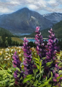 "Lupines above Arrow Lake"π΄