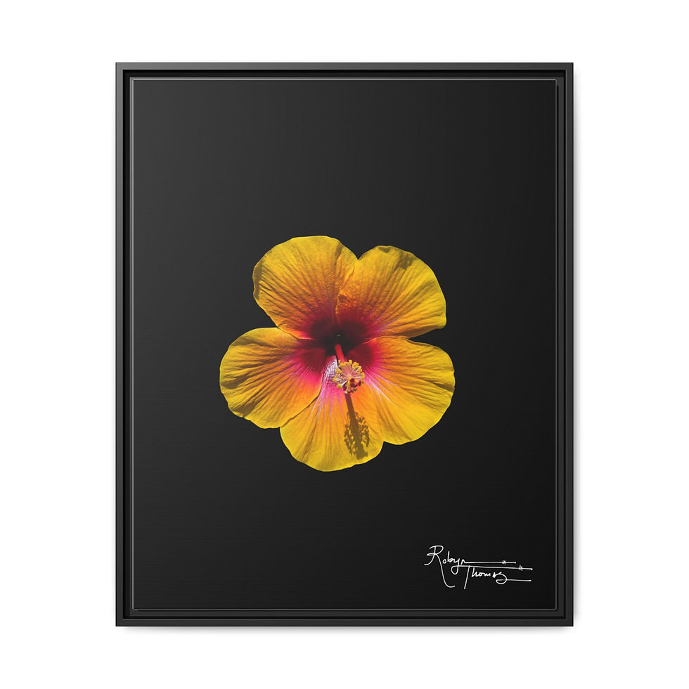 Thumbnail: Framed Matte Canvas - Yellow Hibiscus Botanicals 003 Robyn Thomas