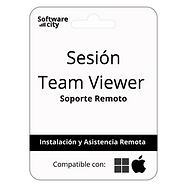 Sesión Team Viewer