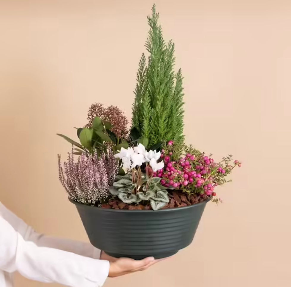 Miniature : Coupe de plantes