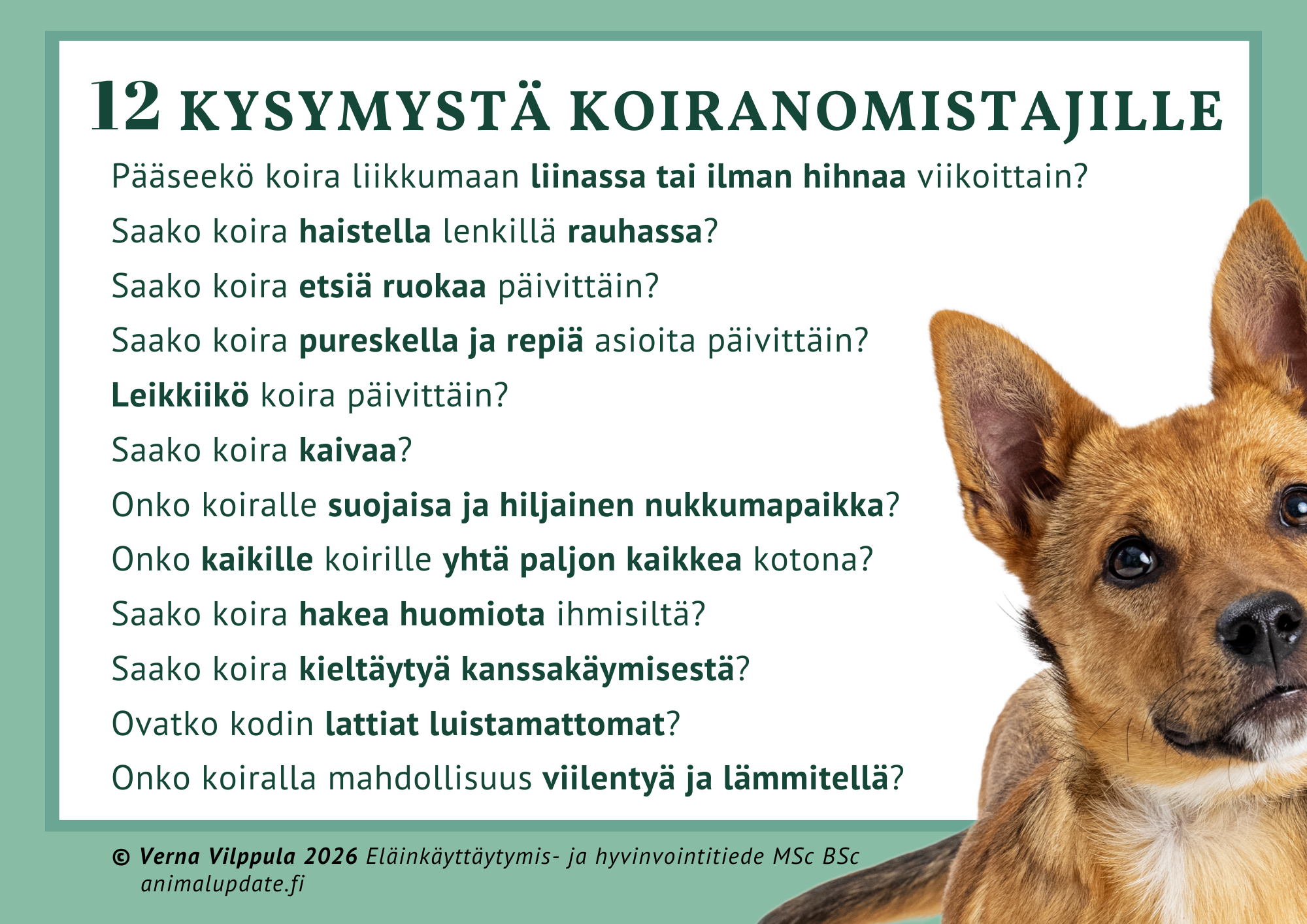 12 kysymystä koiranomistajille - huoneentaulu