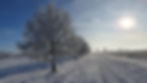 Winterimpressionen