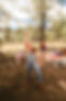 IMG_1635.jpeg