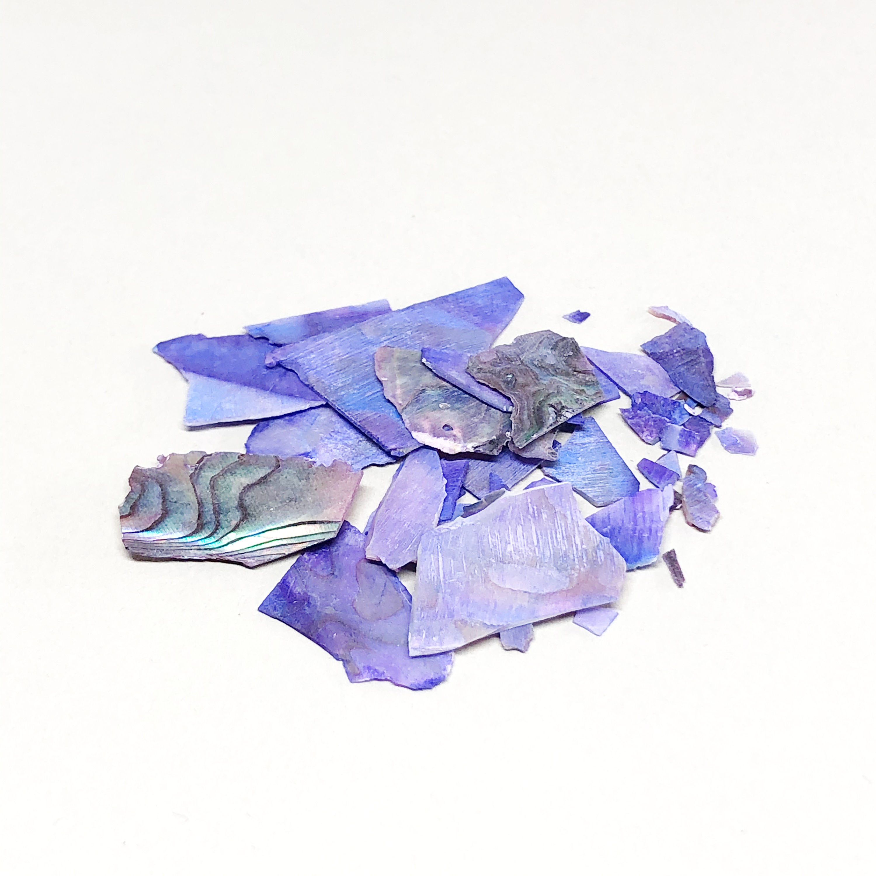 Venkos. Simpukankuori. Violetti